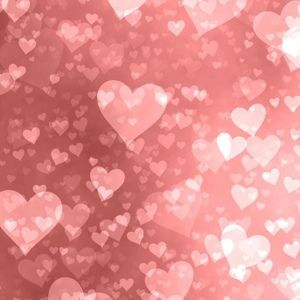 Meet your Posher, Shaina